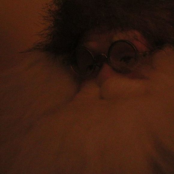 Meet your Posher, Archibald - Picture 1 of 1